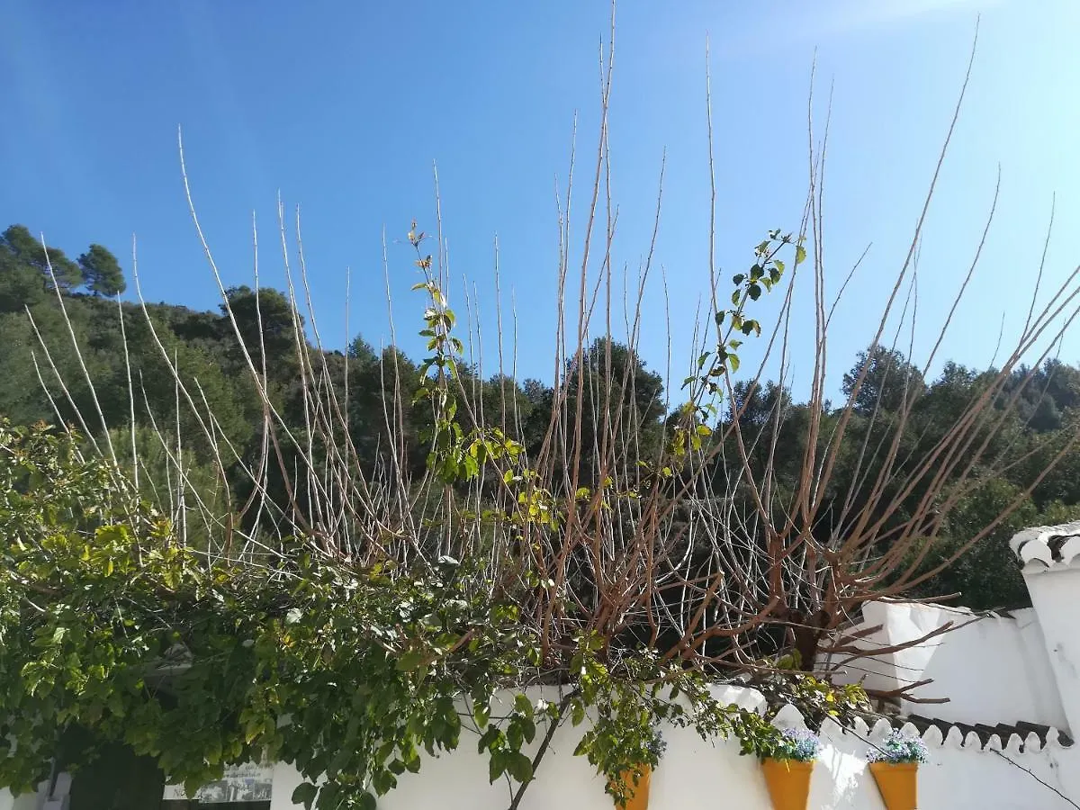 Casa Ayo Pensionat Frigiliana 0*,